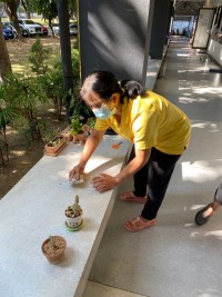 คณะศึกษาศาสตร์ มช. จัดกิจกรรมเนื่องในวันคล้ายวันพระบรมราชสมภพ พระบาทสมเด็จพระบรมชนกาธิเบศร มหาภูมิพลอดุลยเดชมหาราช บรมนาถบพิตร วันชาติ และวันพ่อแห่งชาติ ประจำปี 2564