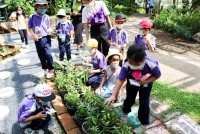 Summer Camp ประถมศึกษา W2 (Little Conservationist) 