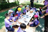 Summer Camp ประถมศึกษา W2 (Little Conservationist) 