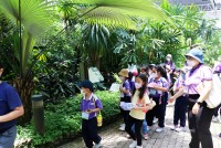 Summer Camp ประถมศึกษา W2 (Little Conservationist) 