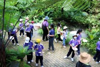 Summer Camp ประถมศึกษา W2 (Little Conservationist) 