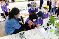 Summer Camp ประถมศึกษา W2 (Little Conservationist) 