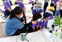 Summer Camp ประถมศึกษา W2 (Little Conservationist) 