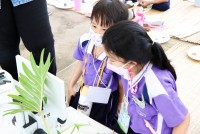 Summer Camp ประถมศึกษา W2 (Little Conservationist) 