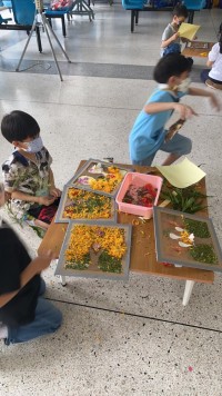 Summer Camp ประถมศึกษา W2 (Little Conservationist) 