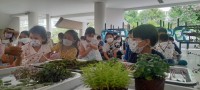 Summer Camp ประถมศึกษา W2 (Little Conservationist) 