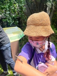 Summer Camp ประถมศึกษา W2 (Little Conservationist) 