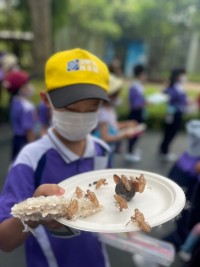 Summer Camp ประถมศึกษา W2 (Little Conservationist) 