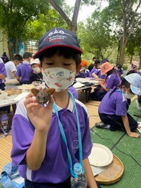 Summer Camp ประถมศึกษา W2 (Little Conservationist) 