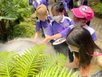 Summer Camp ประถมศึกษา W2 (Little Conservationist) 