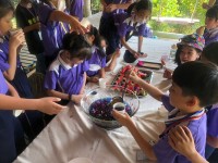 Summer Camp ป.2-3 Week1_Fantastic Food Taste