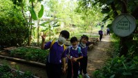 Summer Camp ป.1 _ The Little Farm