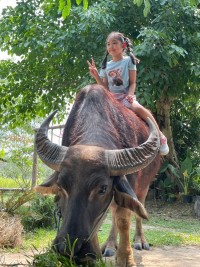 Summer Camp ป.1 _ The Little Farm