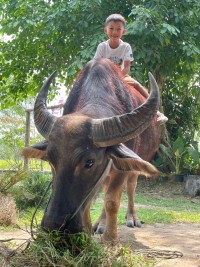 Summer Camp ป.1 _ The Little Farm