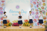 Blossom Day ปีการศึกษา 2566