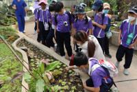 Summer Camp_Week 1 (ตะลุยแดนพฤกษา) รหัส 65