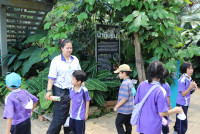 Summer Camp_Week 1 (ตะลุยแดนพฤกษา) รหัส 65