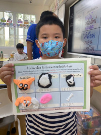 Summer Camp_Week 1 (Animal Planet) รหัส 66 