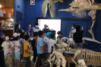 Summer Camp_Week 1 (Animal Planet) รหัส 66 