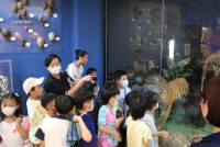 Summer Camp_Week 1 (Animal Planet) รหัส 66 