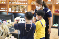 Summer Camp_Week 1 (Animal Planet) รหัส 66 