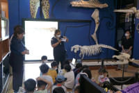 Summer Camp_Week 1 (Animal Planet) รหัส 66 