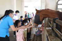 Summer Camp_Week 1 (Animal Planet) รหัส 66 