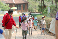 Summer Camp_Week 1 (Animal Planet) รหัส 66 