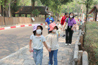 Summer Camp_Week 1 (Animal Planet) รหัส 66 