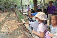 Summer Camp_Week 1 (Animal Planet) รหัส 66 