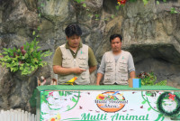 Summer Camp_Week 1 (Animal Planet) รหัส 66 