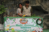 Summer Camp_Week 1 (Animal Planet) รหัส 66 