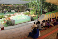 Summer Camp_Week 1 (Animal Planet) รหัส 66 