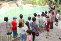 Summer Camp_Week 1 (Animal Planet) รหัส 66 