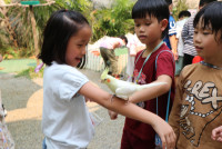 Summer Camp_Week 1 (Animal Planet) รหัส 66 