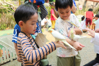 Summer Camp_Week 1 (Animal Planet) รหัส 66 