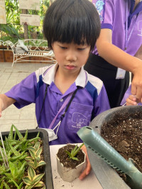 Summer Camp_Week 2 (Nature and Art) รหัส 66