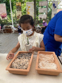 Summer Camp_Week 2 (Nature and Art) รหัส 66