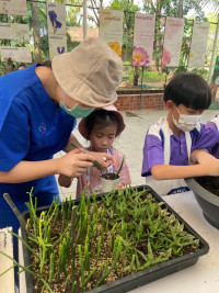 Summer Camp_Week 2 (Nature and Art) รหัส 66