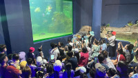 Summer Camp_Week 2 (Under the Sea) รหัส 65