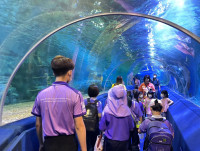 Summer Camp_Week 2 (Under the Sea) รหัส 65