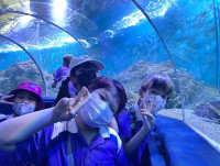 Summer Camp_Week 2 (Under the Sea) รหัส 65