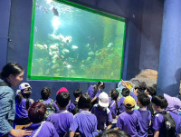 Summer Camp_Week 2 (Under the Sea) รหัส 65