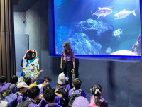 Summer Camp_Week 2 (Under the Sea) รหัส 65