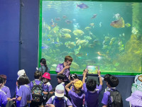 Summer Camp_Week 2 (Under the Sea) รหัส 65