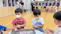 Summer Camp_Week 2 (Hello Asia) รหัส 66 