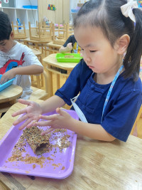 Summer Camp_Week 2 (Nature Summer Camp) รหัส 64