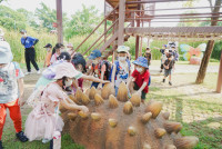 Summer Camp_Week 2 (Dinosaurs World) รหัส 65