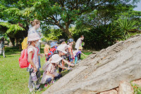 Summer Camp_Week 2 (Dinosaurs World) รหัส 65