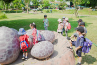 Summer Camp_Week 2 (Dinosaurs World) รหัส 65